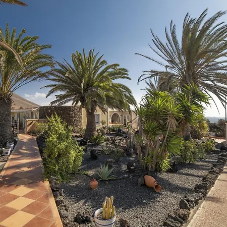 Madora * La Asomada (Lanzarote)